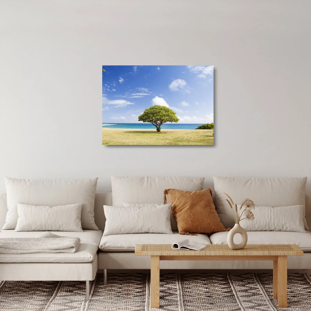 Obraz na szkle - plaża z drzewem (70x50 cm)