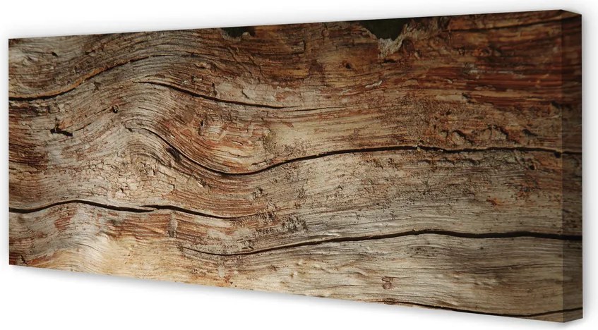 Obraz na płótnie Szlachetne Drewno I Słoje