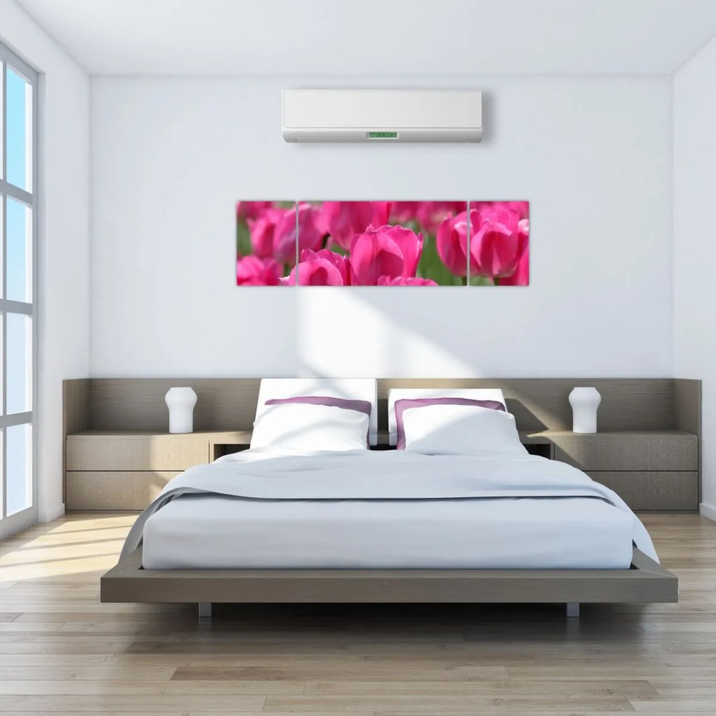 Obraz - Różowe tulipany (170x50 cm)