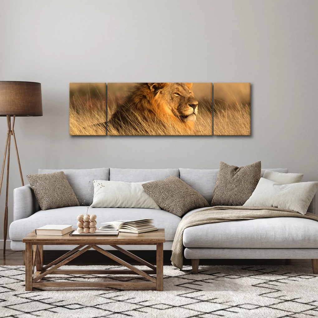 Obraz - Park Narodowy Etosha (170x50 cm)