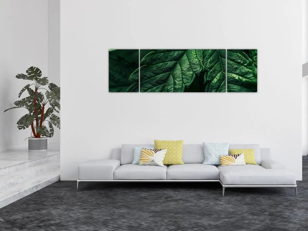 Obraz - Szczegół arkusza (170x50 cm)