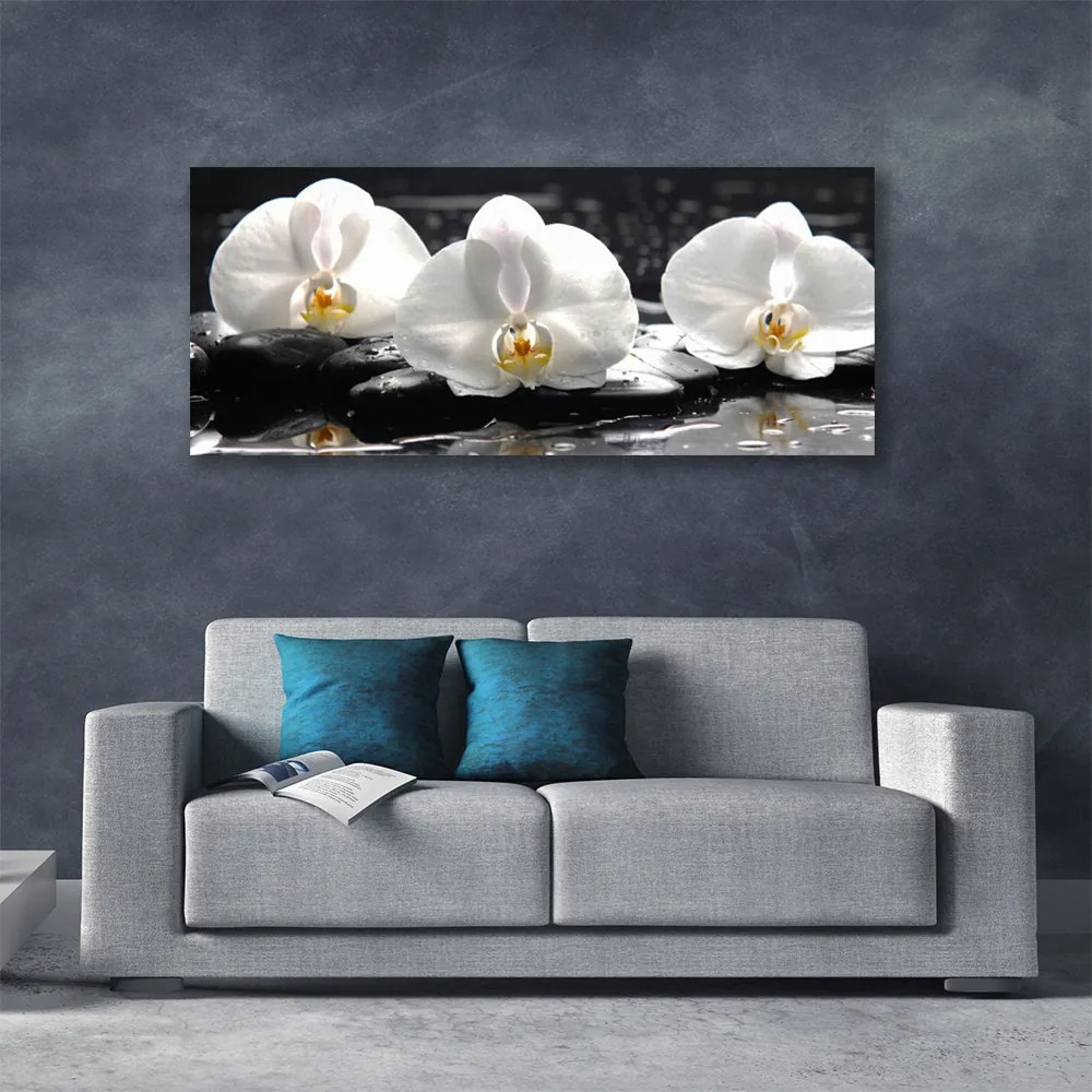 Obraz canvas Subtelny Biały Storczyk