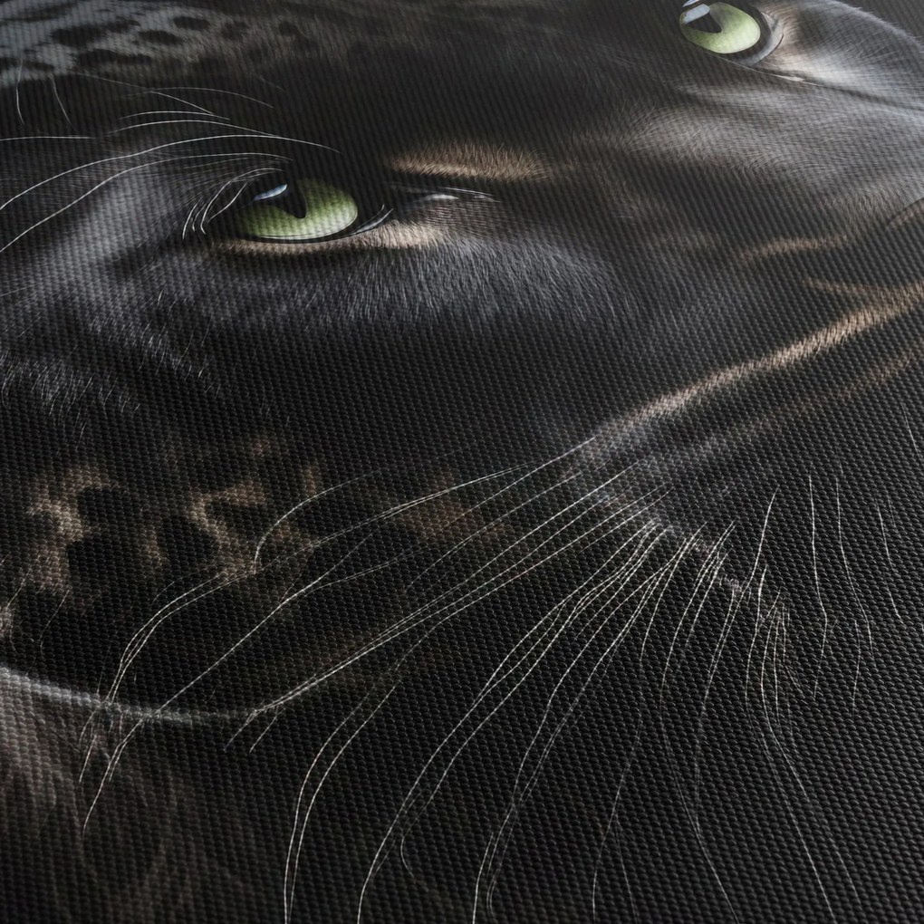 Obraz - Czarna Pantera (125x70 cm)