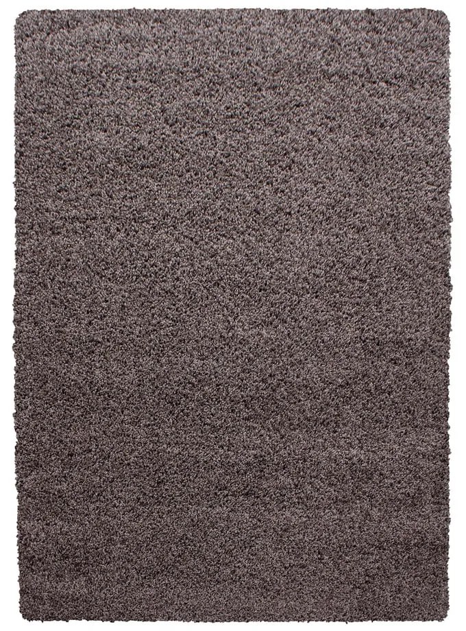 Brązowy dywan 120x170 cm Life – Ayyildiz Carpets