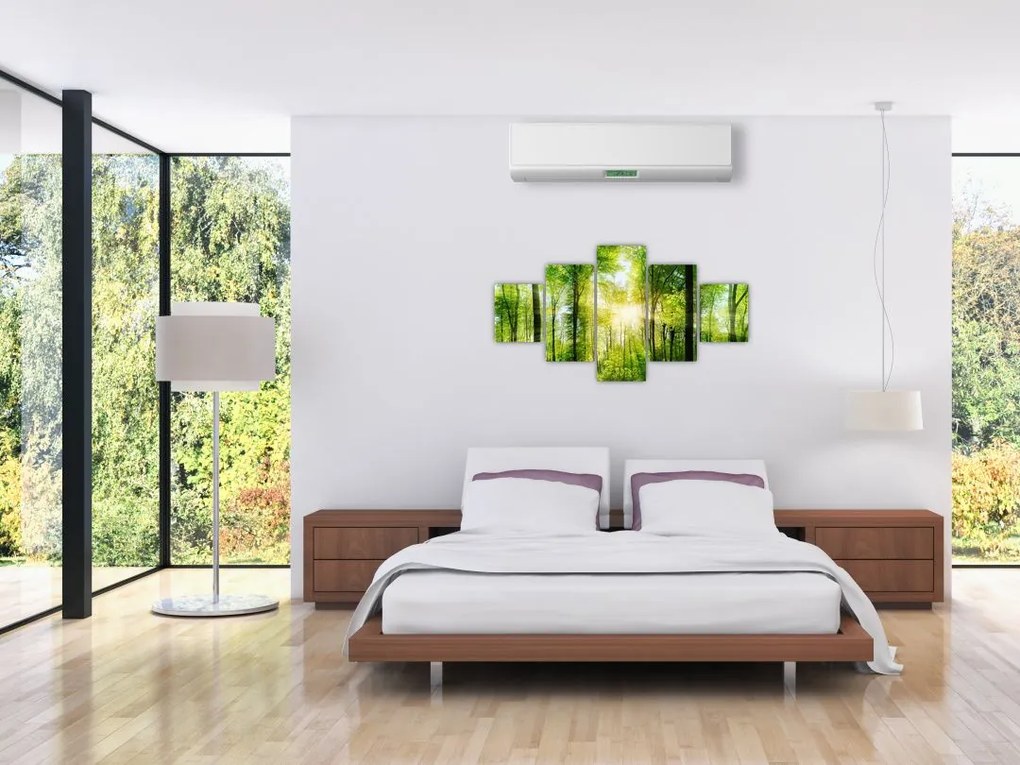 Obraz - Świt w lesie (125x70 cm)