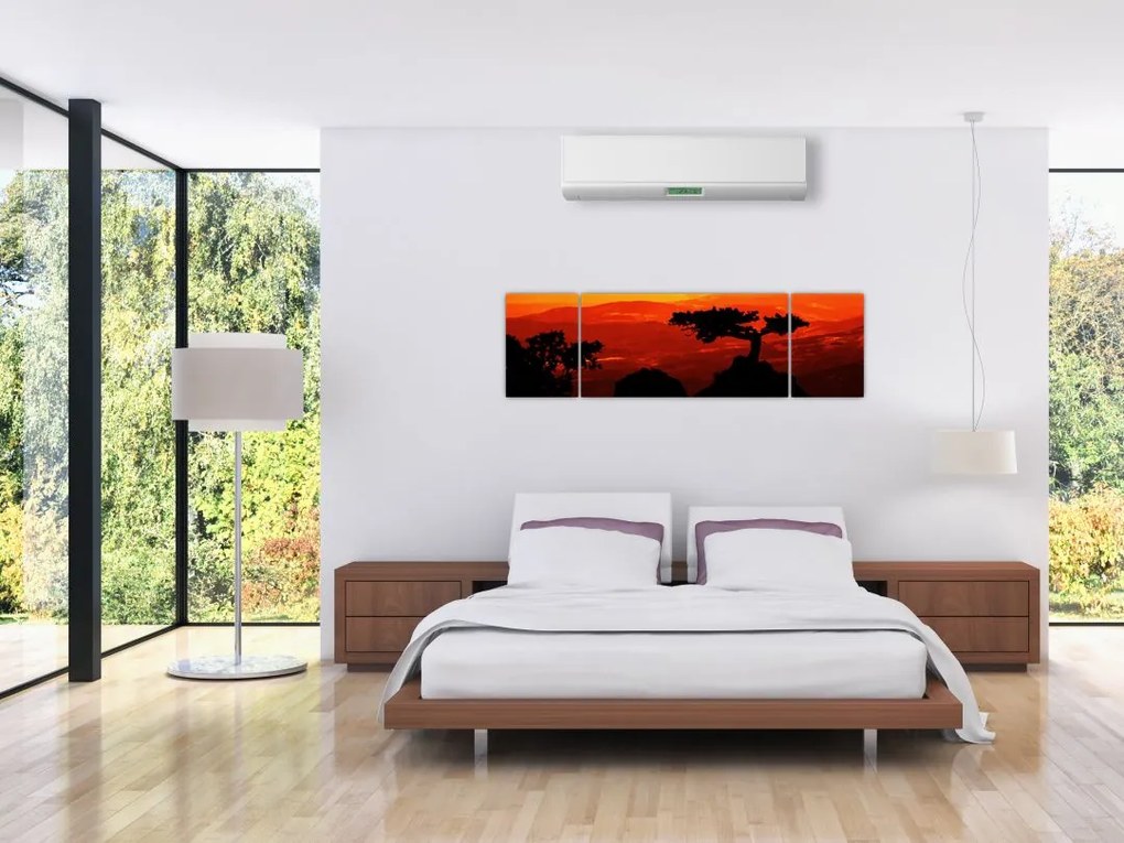 Obraz - Zachód słońca (170x50 cm)