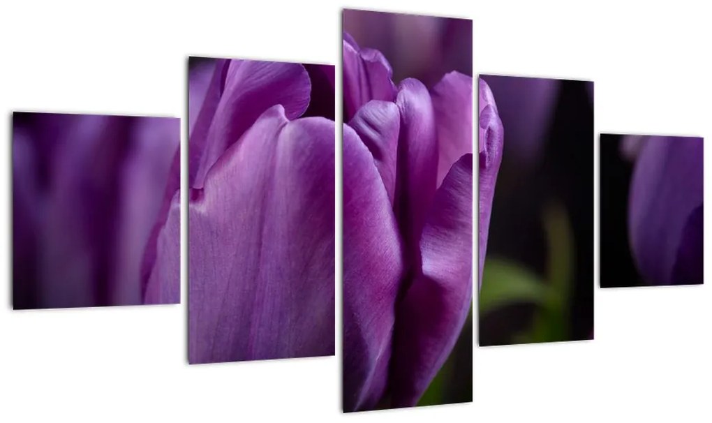 Obraz kwiatów tulipanów (125x70 cm)
