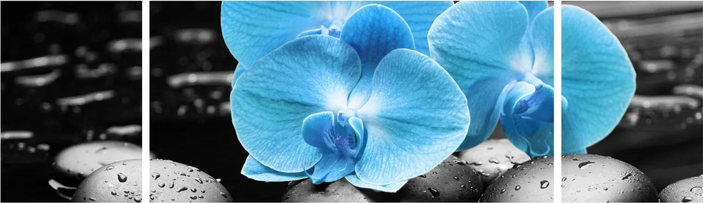 Obraz - Niebieska Orchidea (170x50 cm)