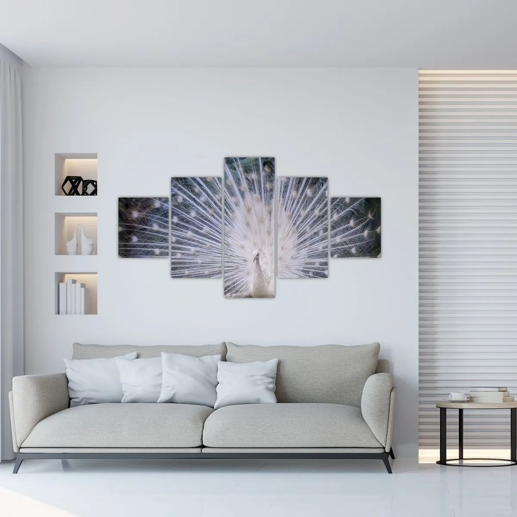 Obraz - Biały paw (125x70 cm)