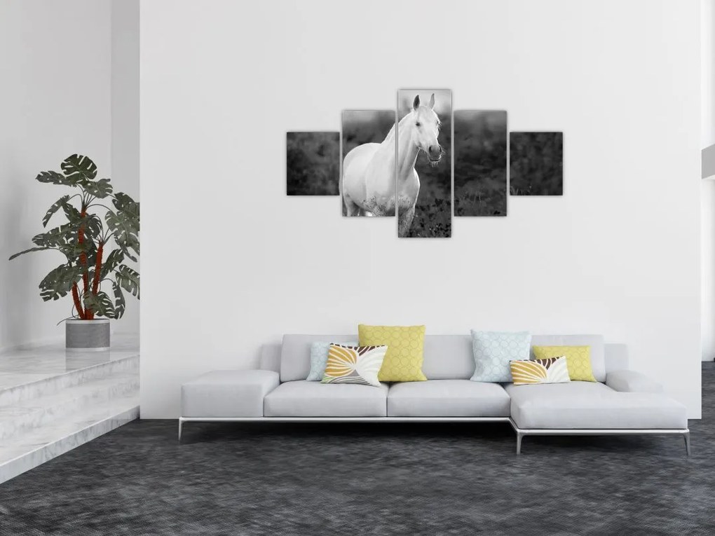 Obraz białego konia na łące, czarno - biały (125x70 cm)