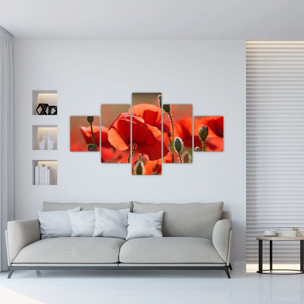 Obraz maków (125x70 cm)