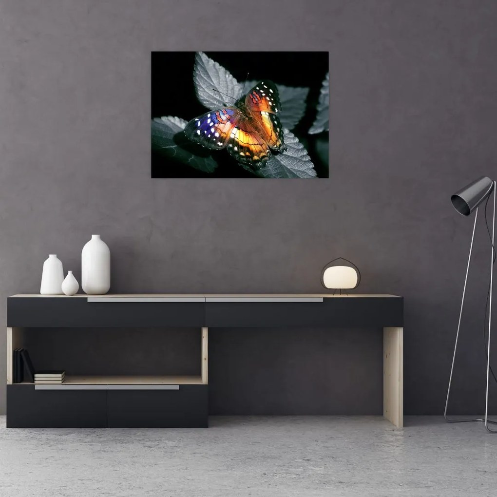 Obraz na szkle motyla (70x50 cm)