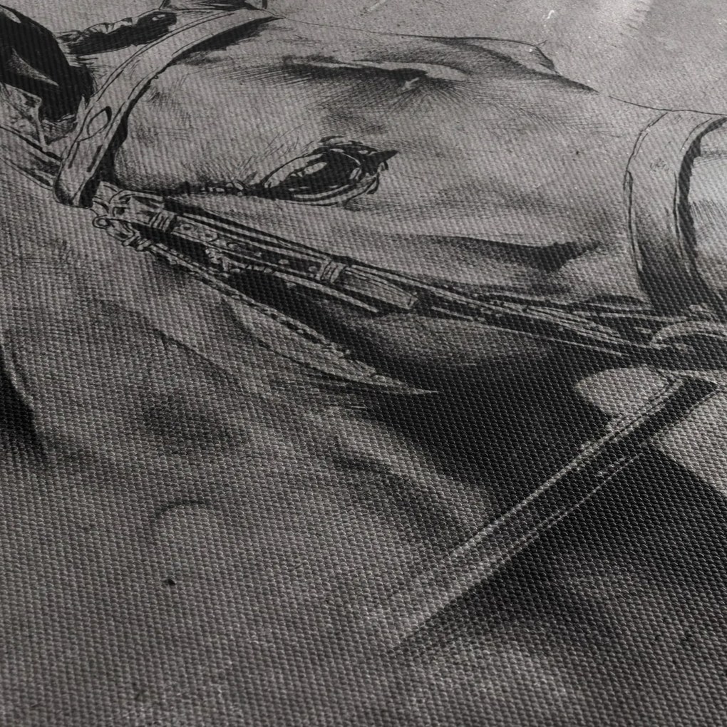 Obraz - Portret konia (125x70 cm)