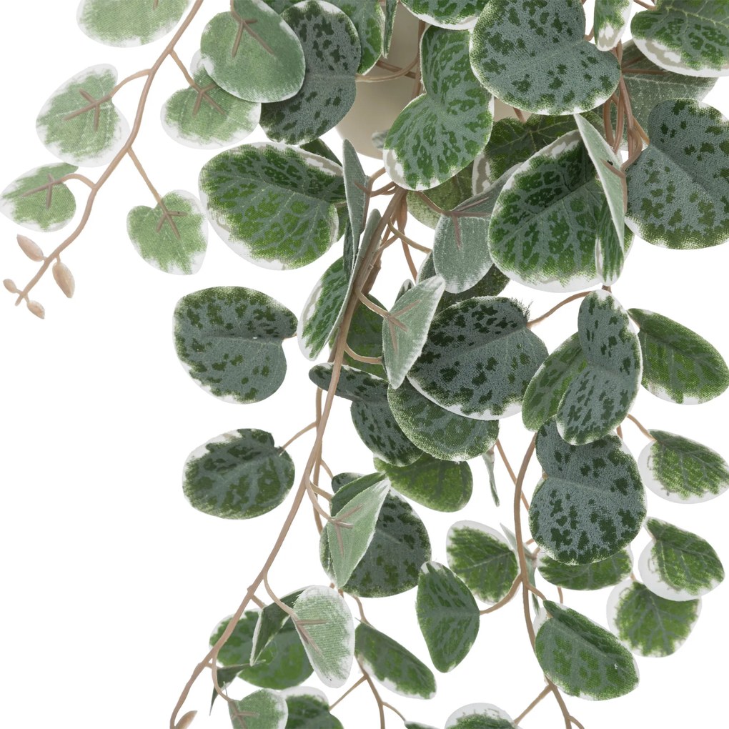 Roślina wisząca SIESTE z plastikową doniczką