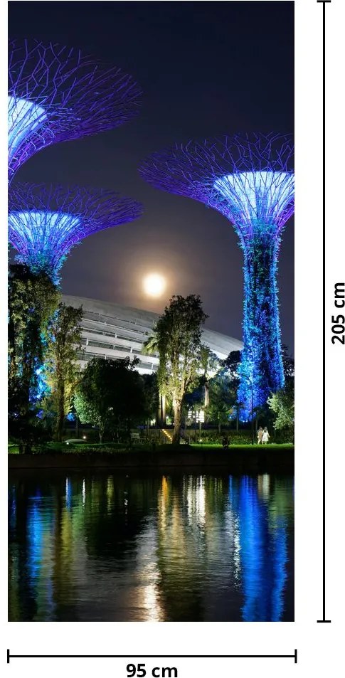 Fototapeta na drzwi - Księżyc w pełni w ogrodach Singapuru (95x205cm)