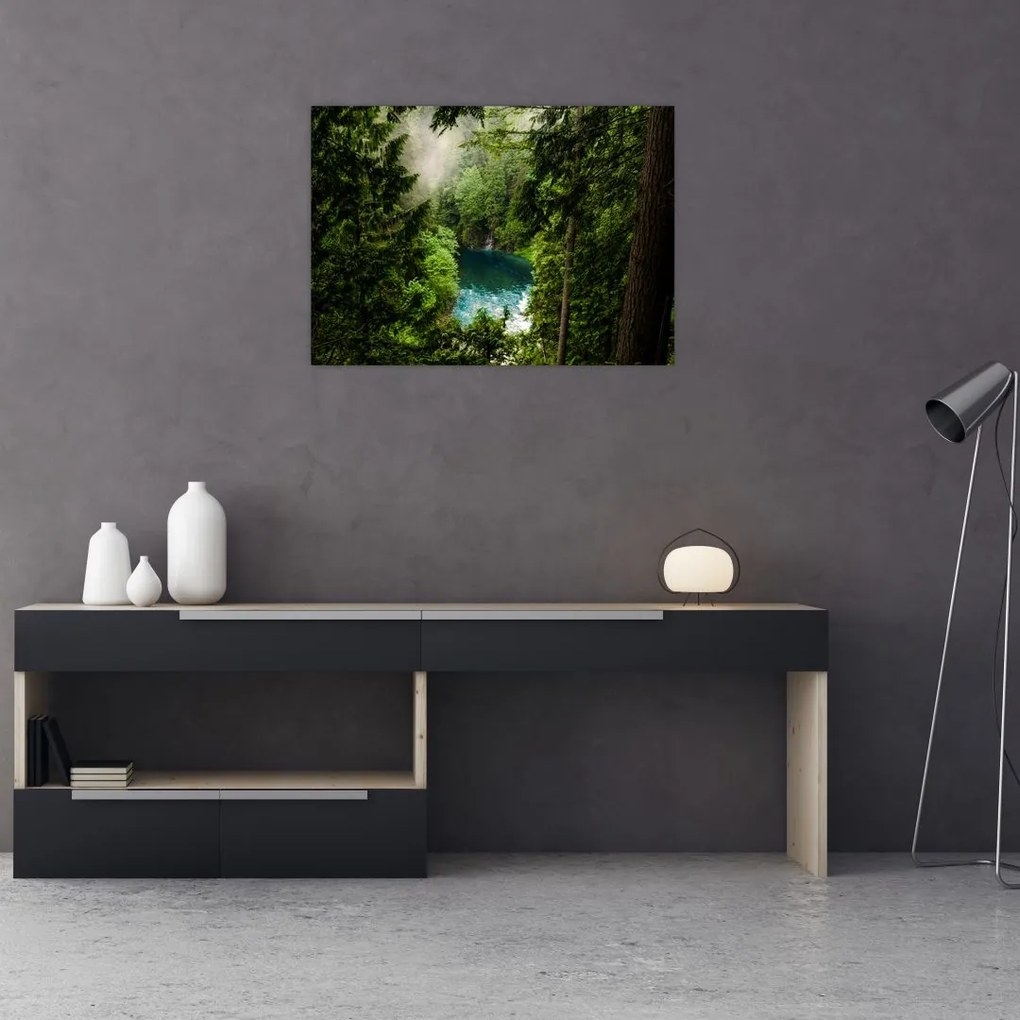 Obraz - Przestrzeń między drzewami (70x50 cm)