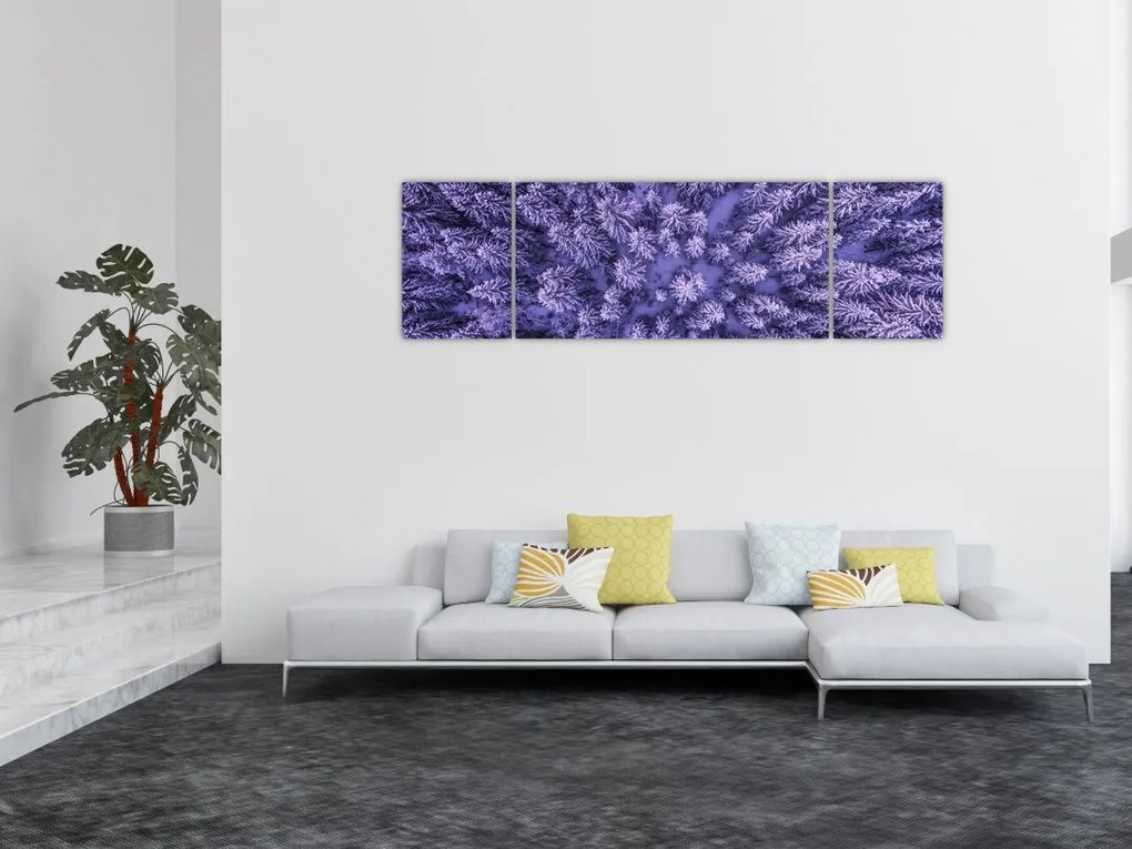Obraz ośnieżonych drzew (170x50 cm)