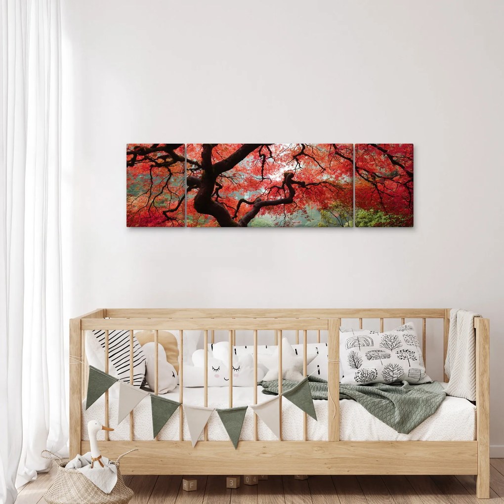 Obraz czerwonego klonu japońskiego, Portland, Oregon (170x50 cm)