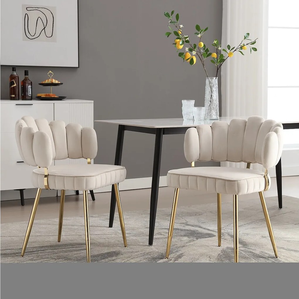 Zestaw 2 krzeseł do jadalni z aksamitu w kolorze kości słoniowej z tapicerowanym oparciem i złotymi metalowymi nogami