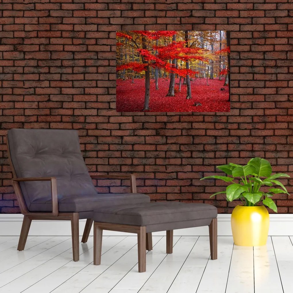 Obraz - Czerwony Las (70x50 cm)