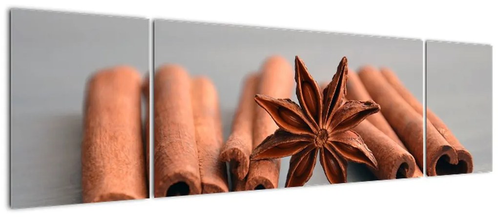 Obraz cynamonu (170x50 cm)