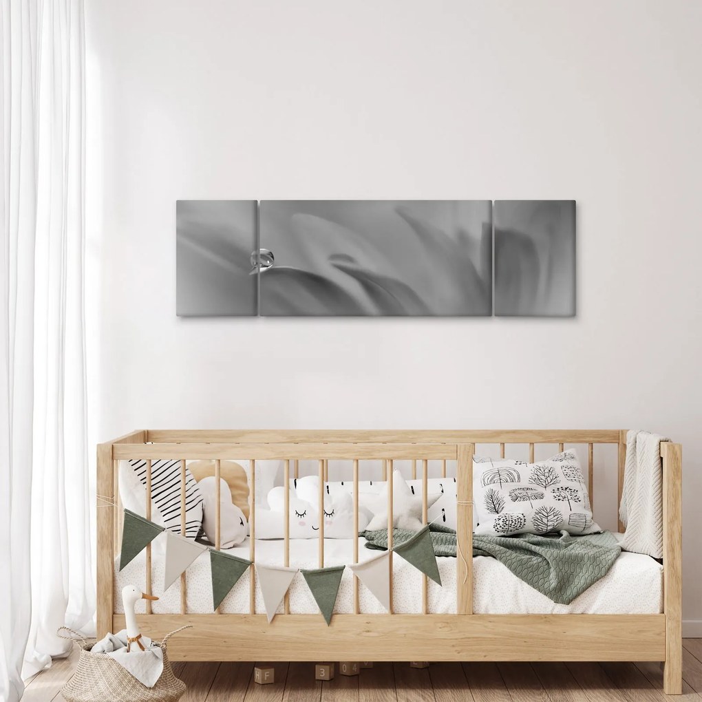 Obraz - Kropla na kwiecie, czarno - biały (170x50 cm)