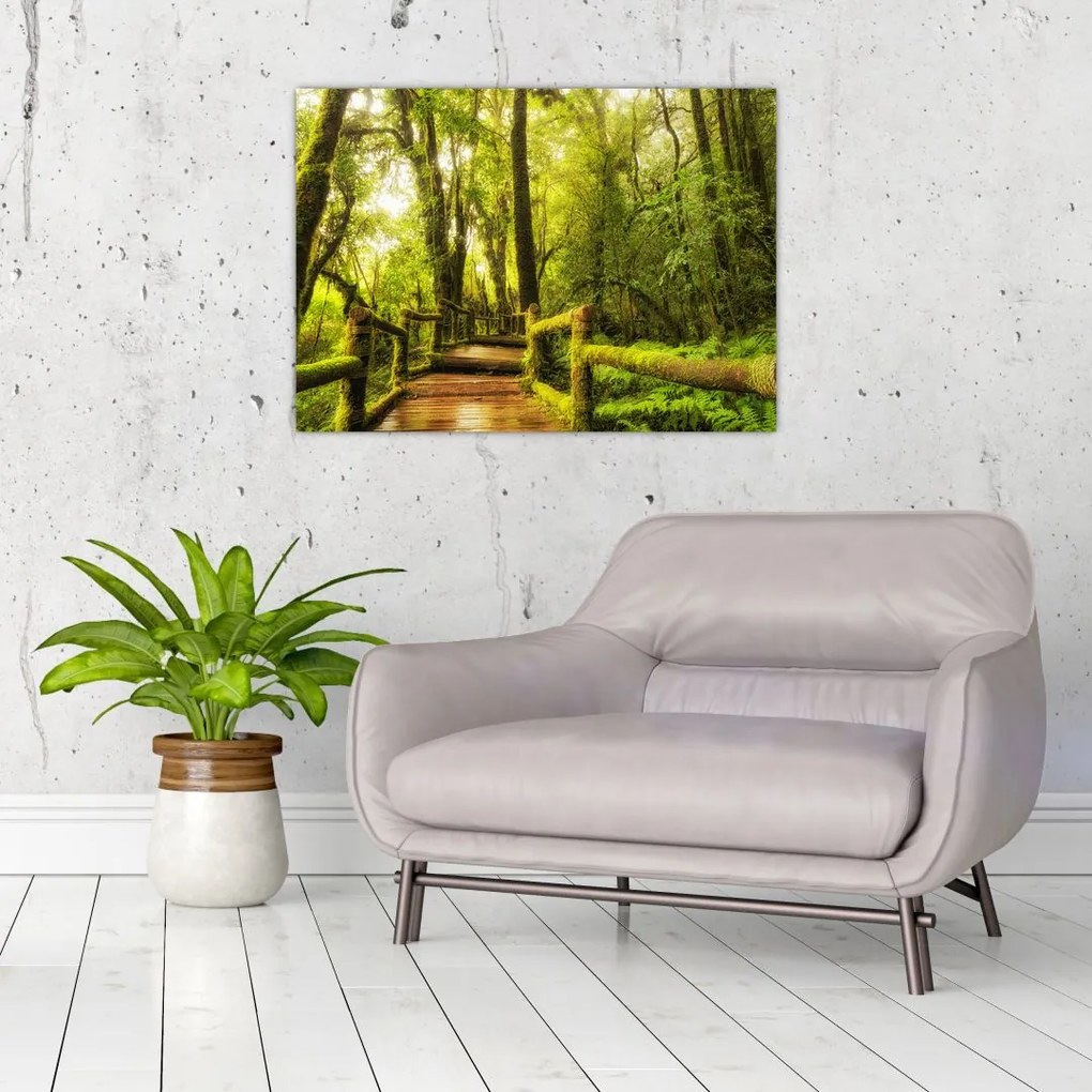 Obraz na szkle omszałej dżungli (70x50 cm)