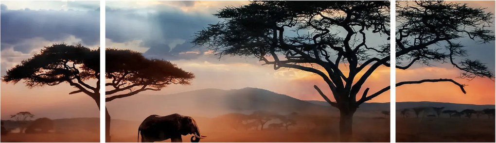 Obraz - Park Narodowy Serengeti, Tanzania, Afryka (170x50 cm)