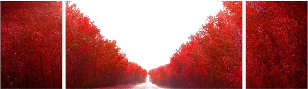 Obraz - Droga do miłości (170x50 cm)