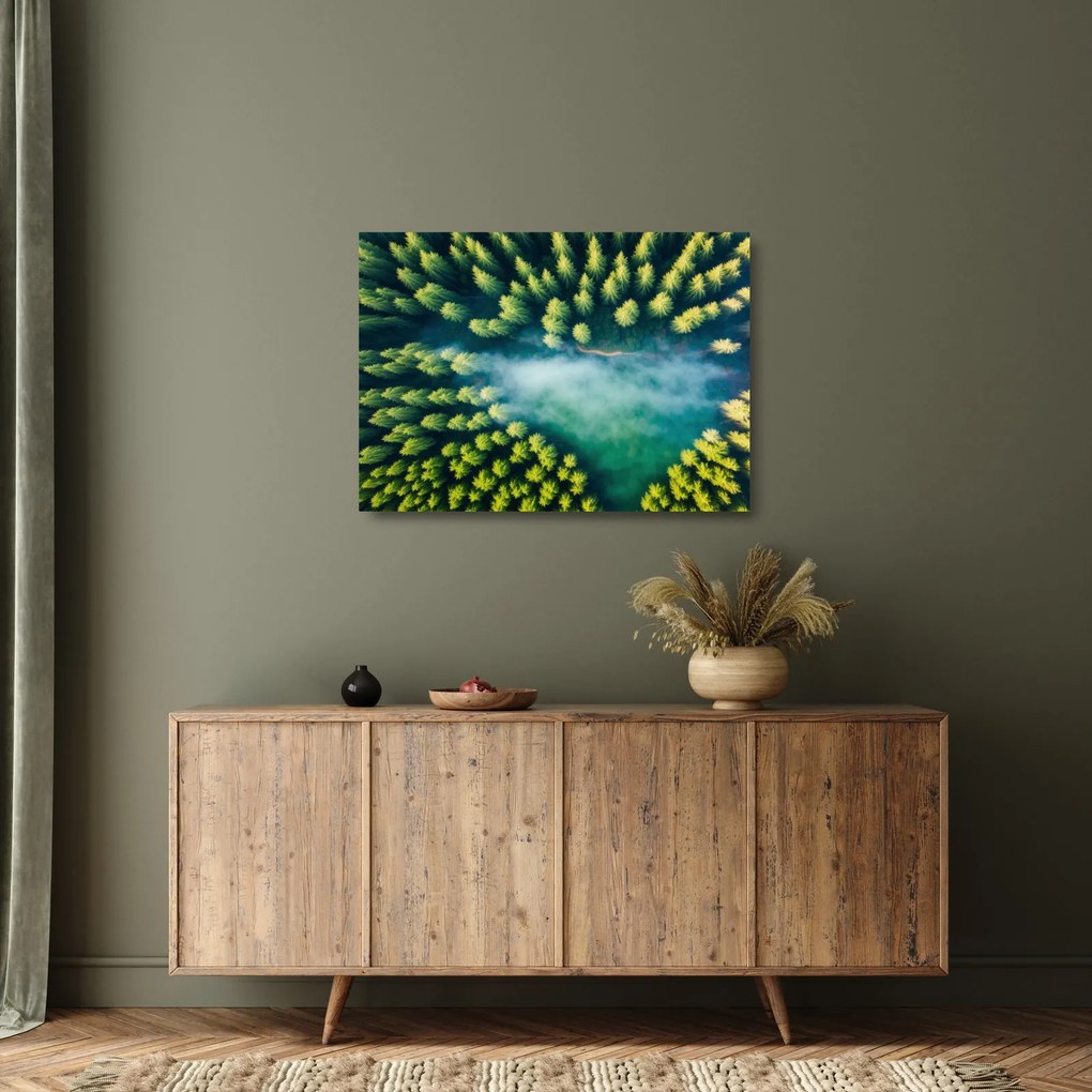 Obraz na szkle - Las spowity mgłą (70x50 cm)