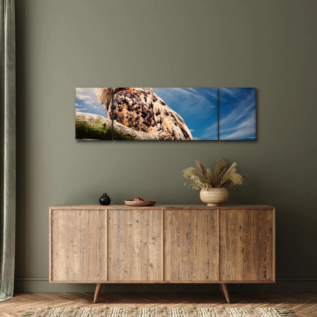 Obraz sowy (170x50 cm)