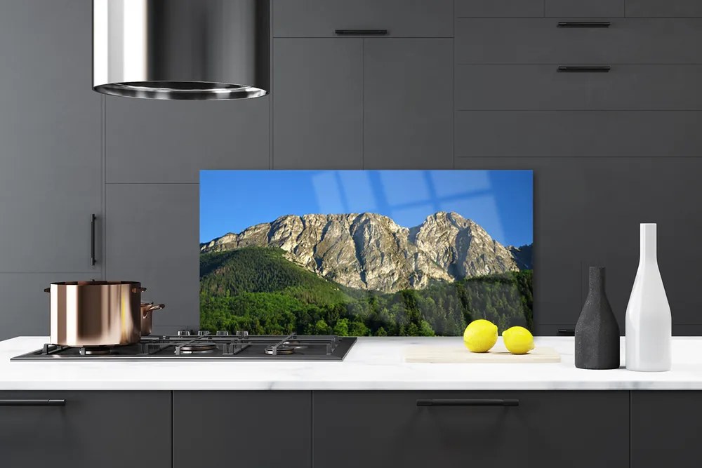 Szkło Ozdobne do Kuchni Górska Przystań W Lesie