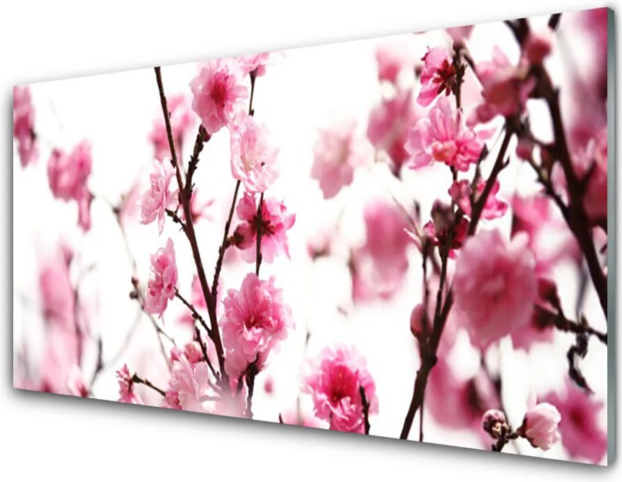 Panel nad blat kuchenny Kwitnące Gałązki o Poranku