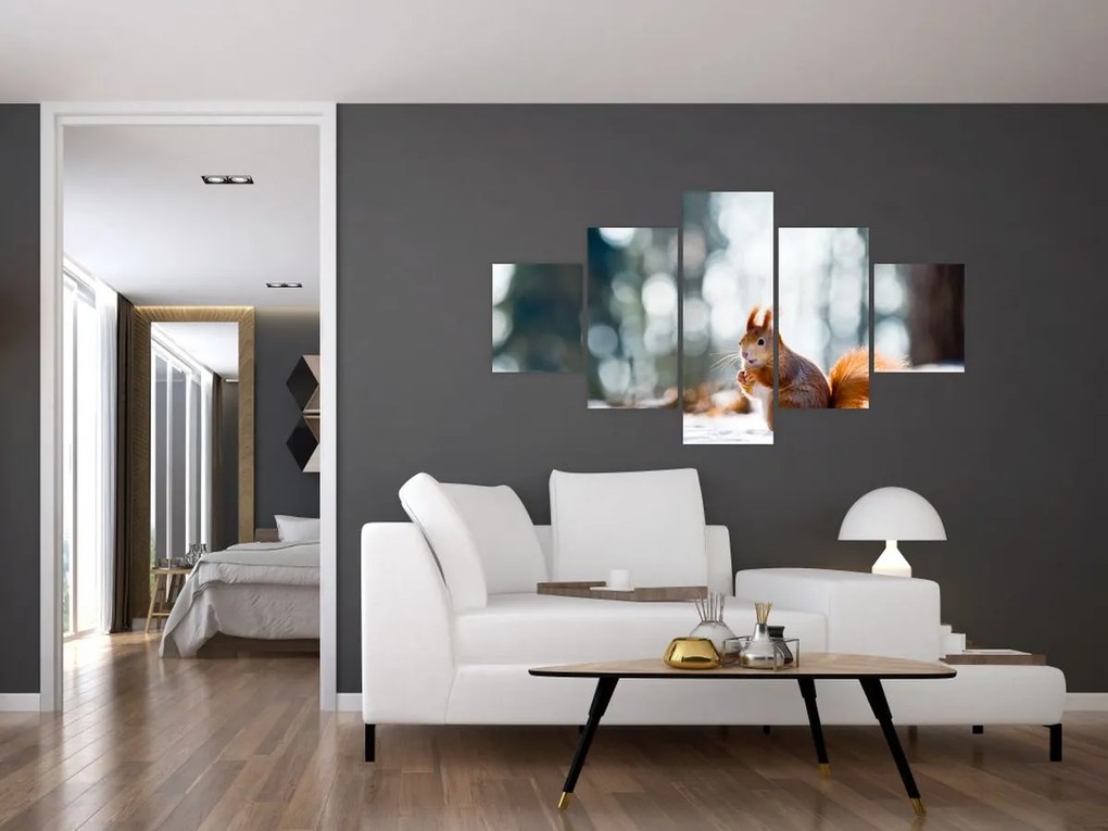 Obraz - Wiewiórka (125x70 cm)