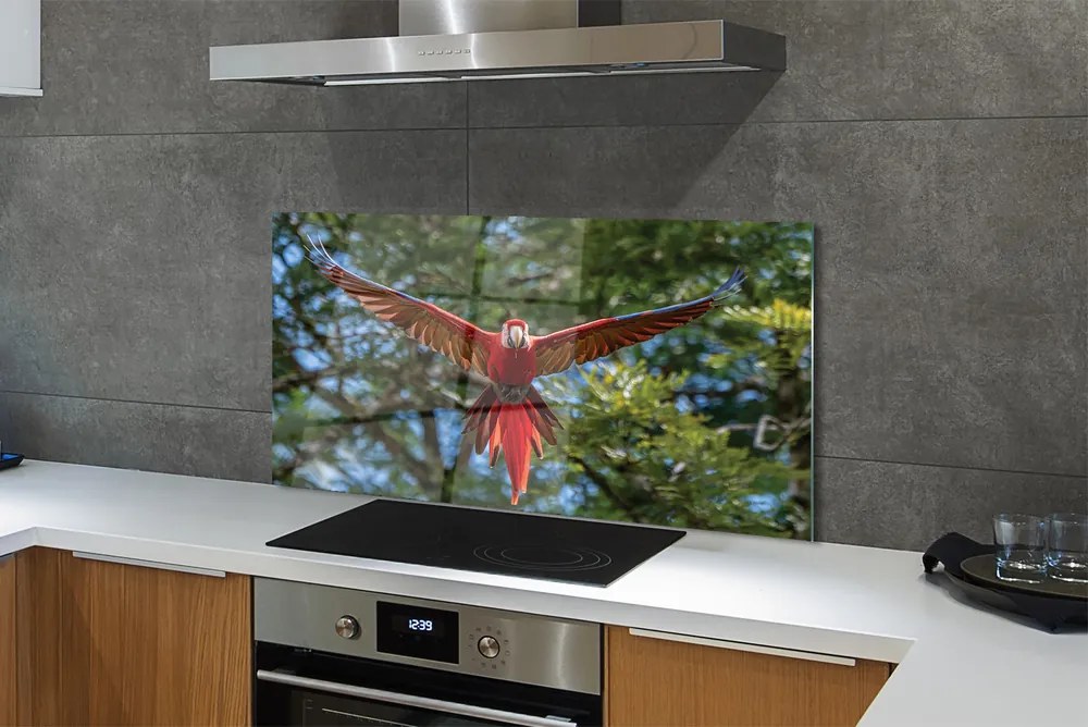 Panel szklany do Kuchni Majestatyczna Papuga Ara