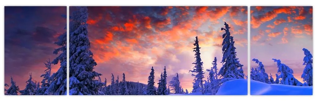 Obraz - Zimowy zmierzch (170x50 cm)