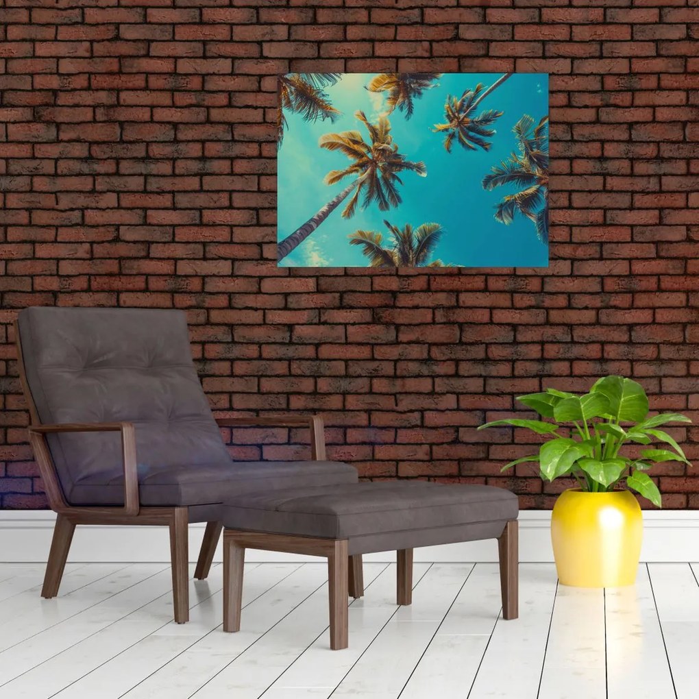 Obraz - Wysokie palmy (70x50 cm)