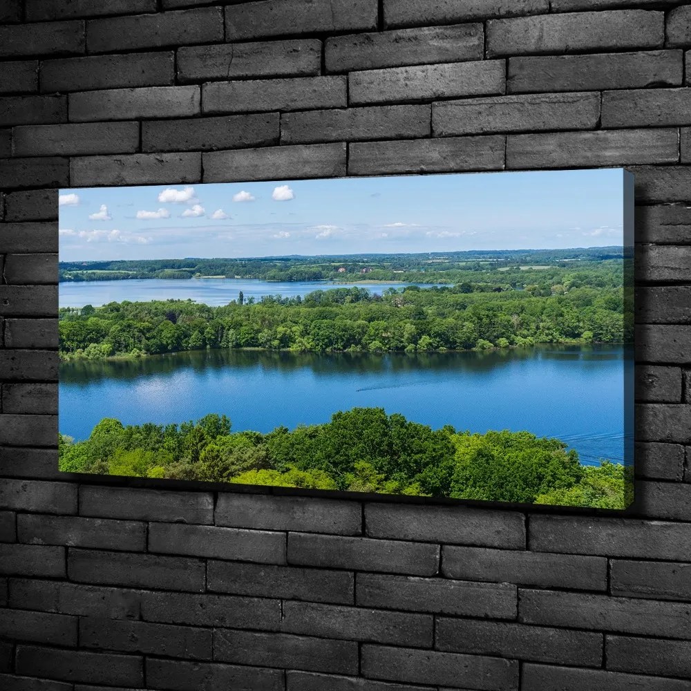 Foto obraz na płótnie Las nad jeziorem