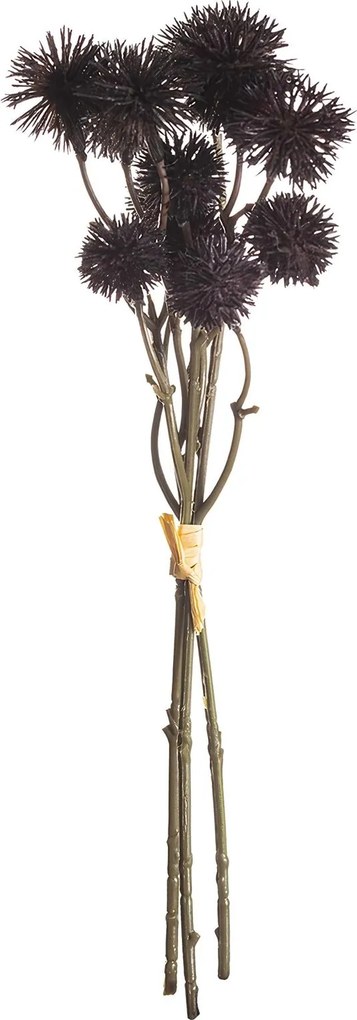 Bukiet Kraspedii 30cm deep brown