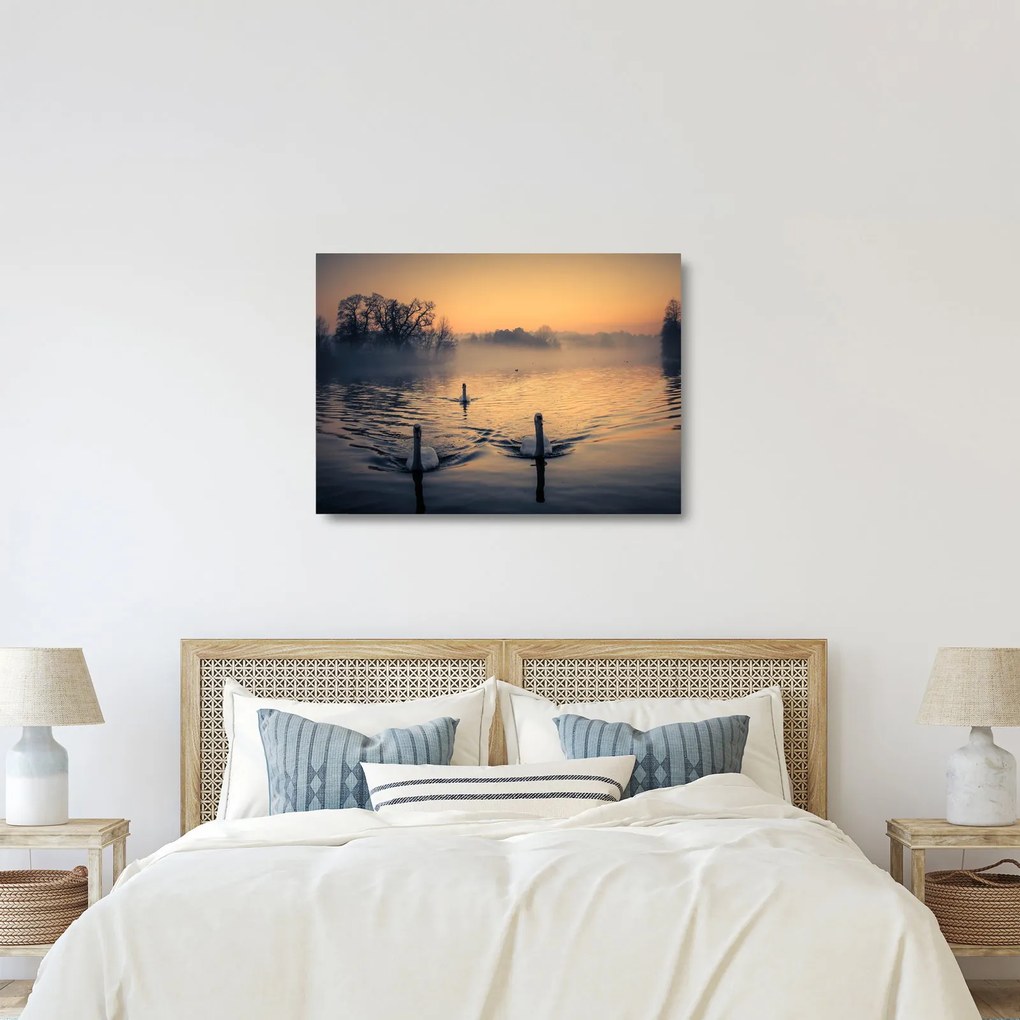 Obraz na szkle - łabędzie na wodzie we mgle (70x50 cm)
