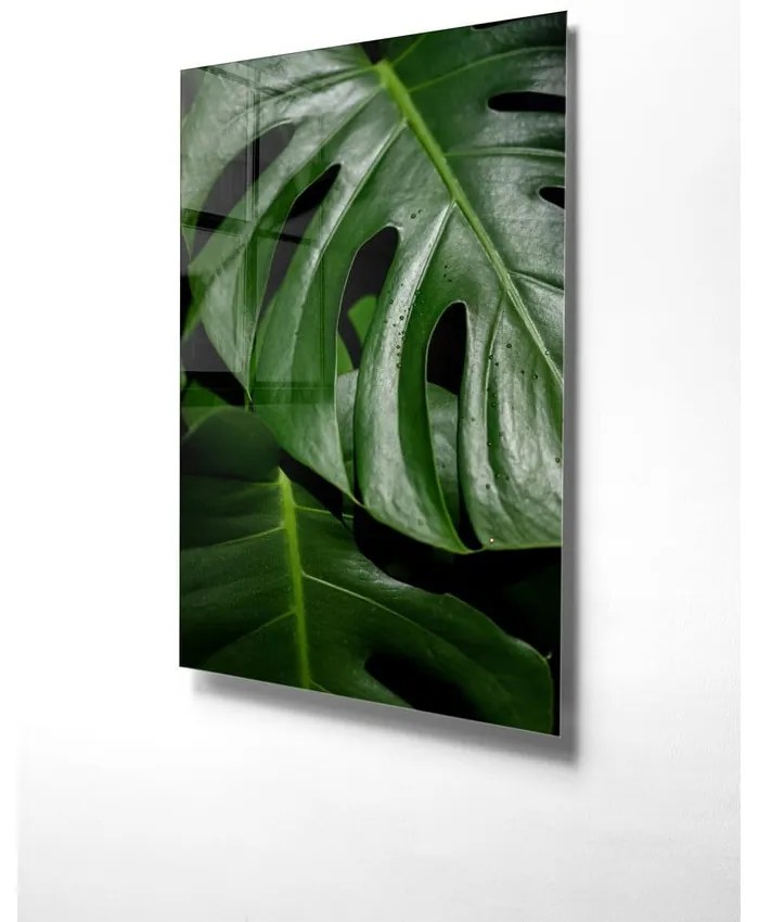 Szklany obraz 70x100 cm Monstera – Wallity