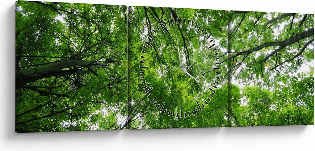 Obraz - Widok do korony drzewa (z zegarem) (90x30 cm)