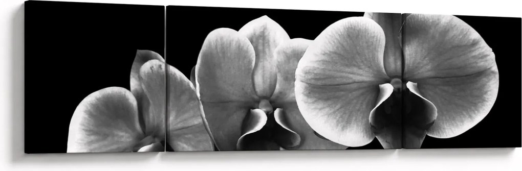Obraz kwiatu orchidei (170x50 cm)