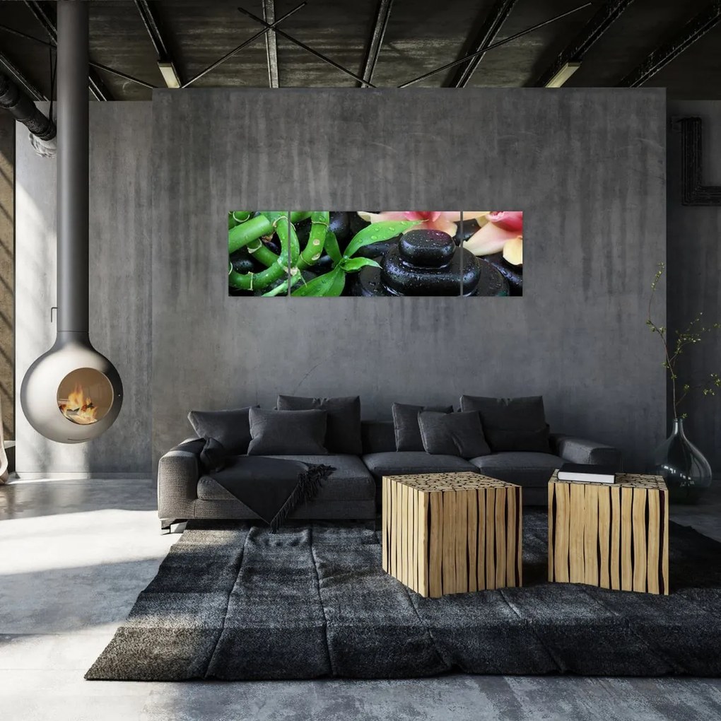 Obraz - Kamienie i orchidee (170x50 cm)