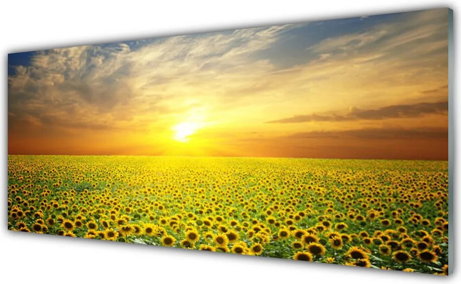 Panel Szklany Słoneczniki Na Słonecznej Polanie