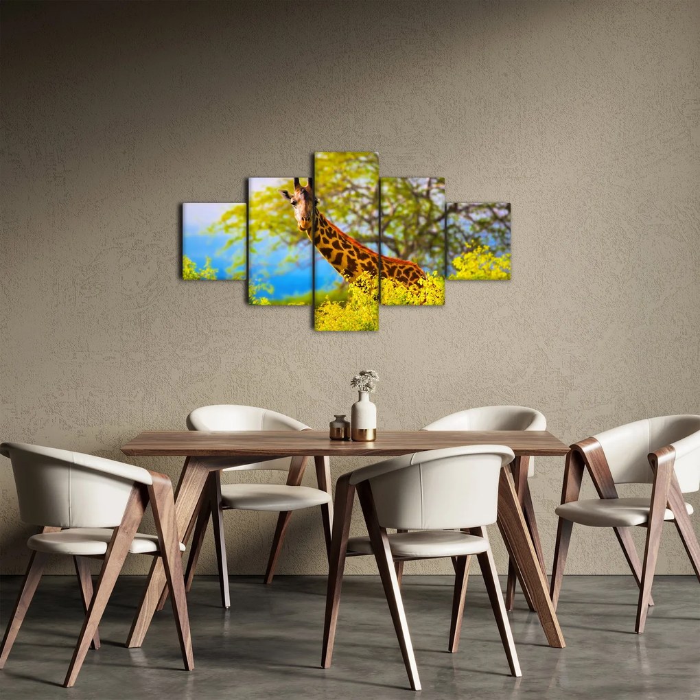 Obraz żyrafy w Afryce (125x70 cm)