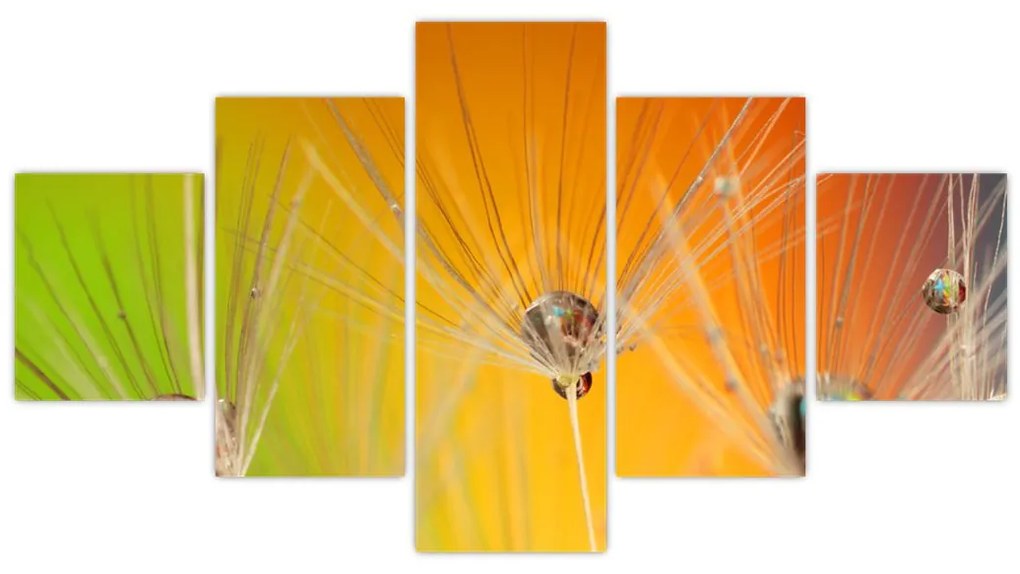 Obraz kropli na roślinie (125x70 cm)