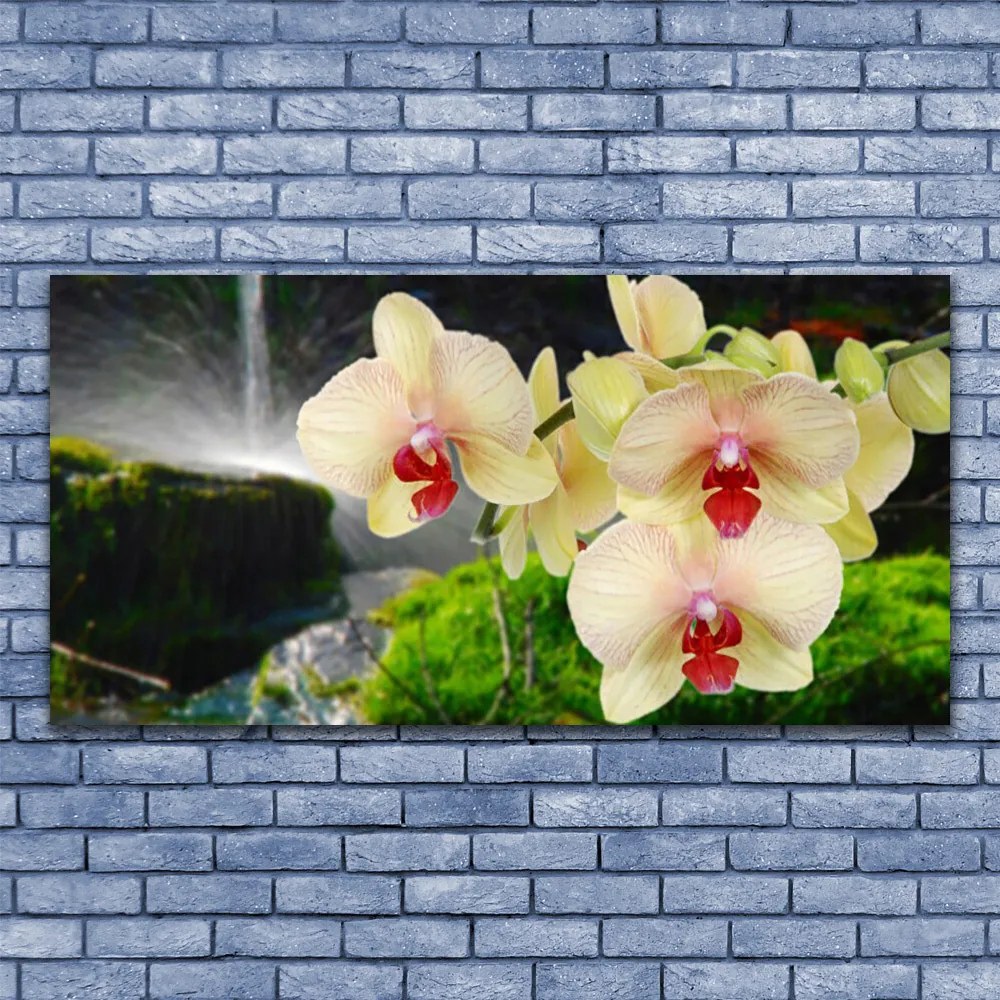 Obraz na płótnie Słońce Przebijające przez Korony