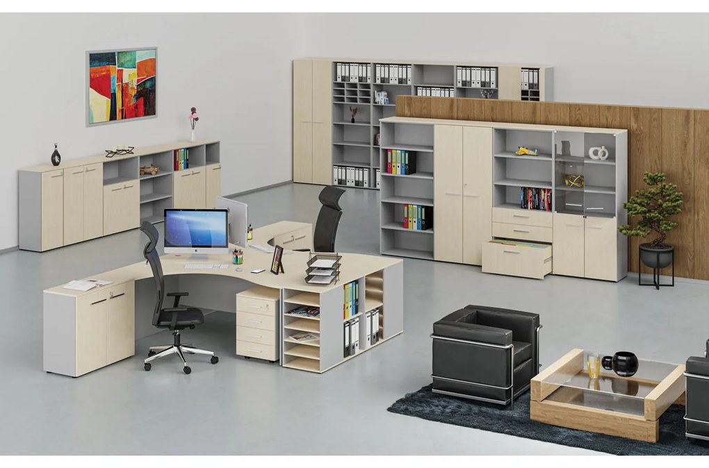 Szafa biurowa z drzwiami przesuwnymi PRIMO GRAY, 800 x 420 x 1087 mm, szary/brzoza