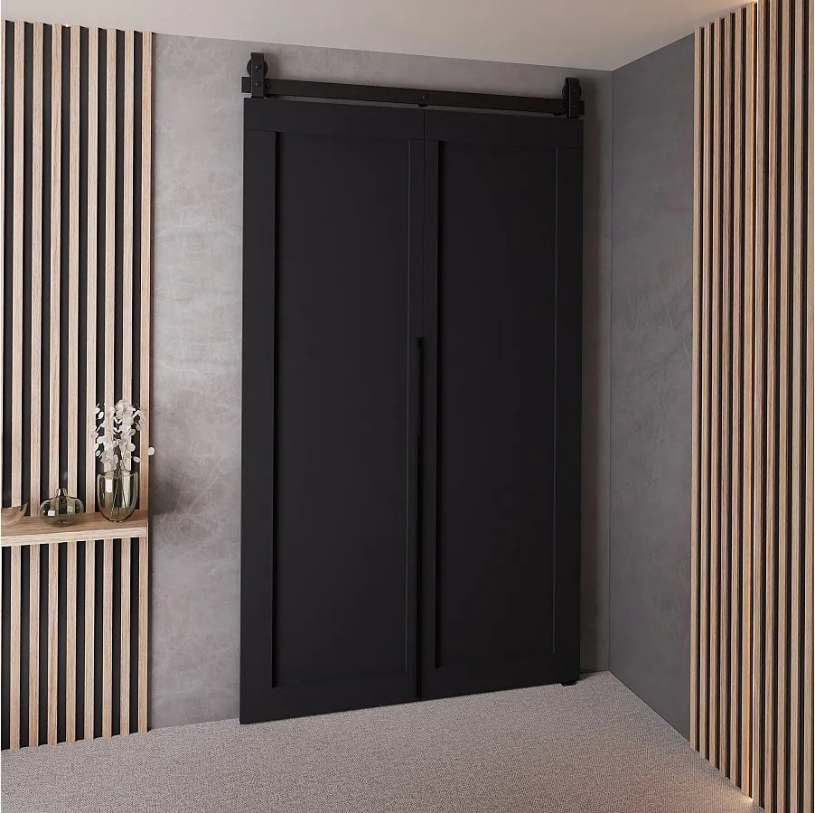 Drzwi Przesuwne QUDIO M1 Czarny 100